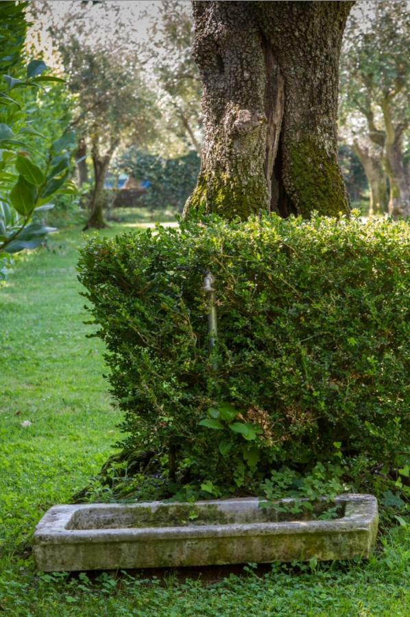 Suite Agave Seravezza Dış mekan fotoğraf